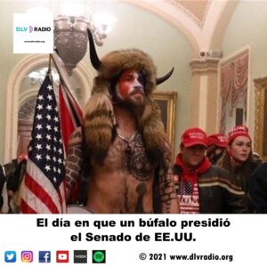 El día en que un búfalo presidió el Senado de EE.UU.