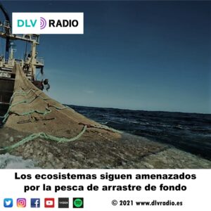Los ecosistemas siguen amenazados por la pesca de arrastre de fondo