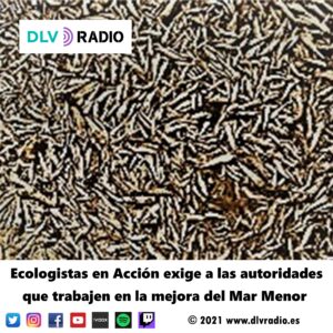 Ecologistas en Acción exige a las autoridades que trabajen en la mejora del Mar Menor