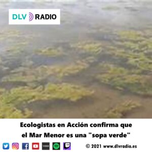 Ecologistas en Acción confirma que el Mar Menor es una sopa verde