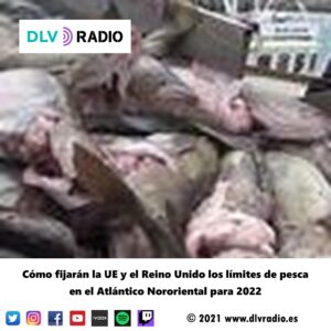 How the EU and UK will set fishing limits in the Northeast Atlantic for 2022