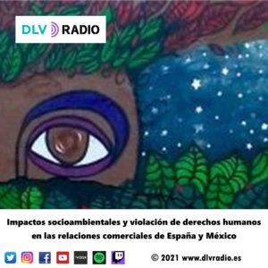 Socio-environmental impacts and violation of human rights in the commercial relations of Spain and Mexico