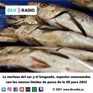 La merluza del sur y el lenguado