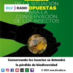Conserving insects will stop the loss of biodiversity
