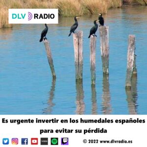 Es urgente invertir en los humedales españoles para evitar su pérdida