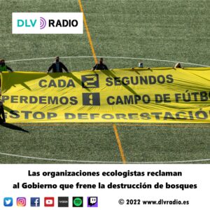 Las organizaciones ecologistas reclaman al Gobierno que frene la destrucción de bosques