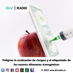 Peligran la evaluación de riesgos y el etiquetado de los nuevos alimentos transgénicos
