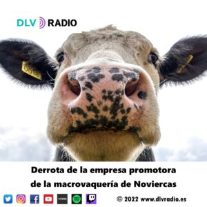 Defeat of the company promoting the Noviercas macro dairy