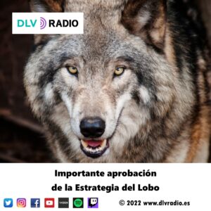 Importante aprobación de la Estrategia del Lobo