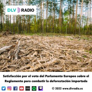 Satisfacción por el voto del Parlamento Europeo sobre el Reglamento para combatir la deforestación importada