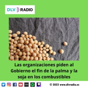 The organizations ask the Government to put an end to palm and soy in fuels