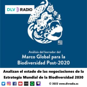Analizan el estado de las negociaciones de la Estrategia Mundial de la Biodiversidad 2030