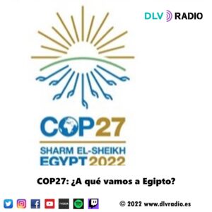 COP27