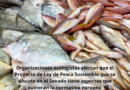 Organizaciones ecologistas alertan que el Proyecto de Ley de Pesca Sostenible que se discute en el Senado tiene aspectos que vulneran la normativa europea 