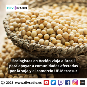 DLVRADIO 2023 (4)
