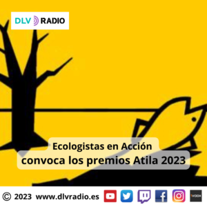 DLVRADIO 2023 (3)