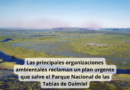 Las principales organizaciones ambientales reclaman un plan  urgente que salve el Parque Nacional de las Tablas de Daimiel