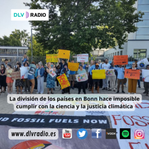 www.dlvradio.es (1)