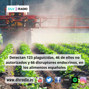 www.dlvradio.es (12)