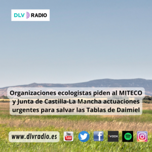www.dlvradio.es (2)