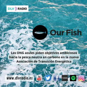 www.dlvradio.es (2)