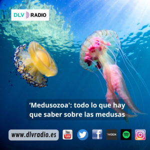 DLVRADIO.ES (4)