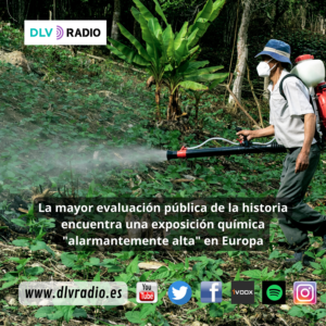 DLVRADIO.ES (5)|DINCH rise