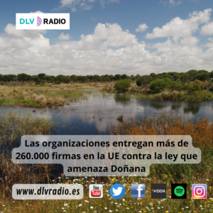 www.dlvradio.es (1)|20230705_0016