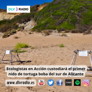www.dlvradio.es (6)