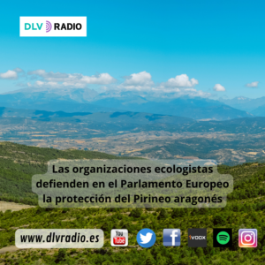 www.dlvradio.es (7)
