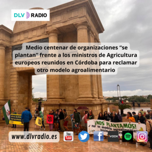 www.dlvradio.es