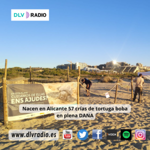 www.dlvradio.es