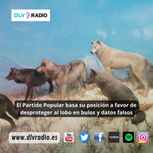www.dlvradio.es (4)