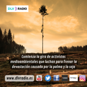 www.dlvradio.es (6)