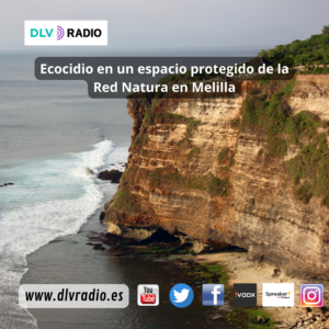 www.dlvradio.es