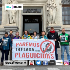 www.dlvradio.es