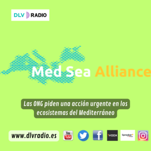 www.dlvradio.es
