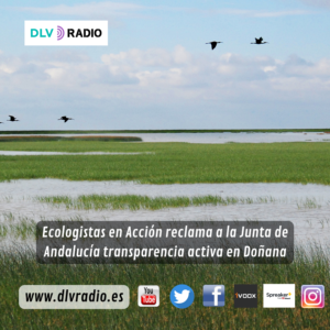 www.dlvradio.es (3)