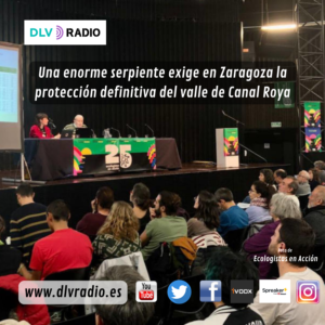 www.dlvradio.es