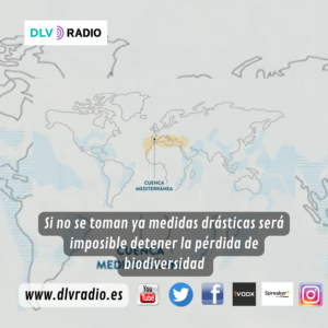 www.dlvradio.es (3)