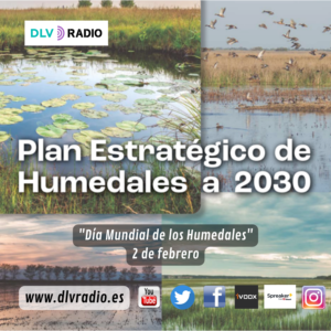 www.dlvradio.es (4)