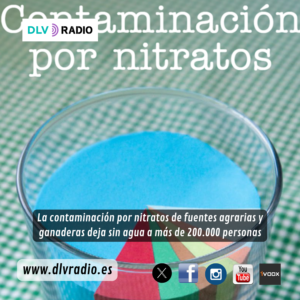 www.dlvradio.es (1)