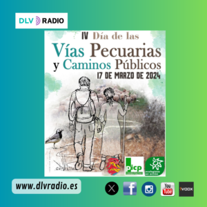 www.dlvradio.es (4)