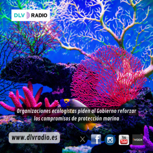 www.dlvradio.es