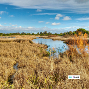 Más de 30 organizaciones exigen que mejoren las condiciones de vida en los asentamientos de Doñana