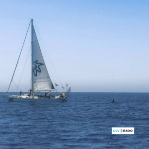 Concluye la campaña En Defensa de la Orca Ibérica a bordo del velero Diosa Maat