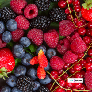 Las Administraciones dejan sin agua a los trabajadores de los frutos rojos en Andalucía