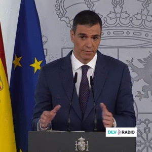 Borrador automático