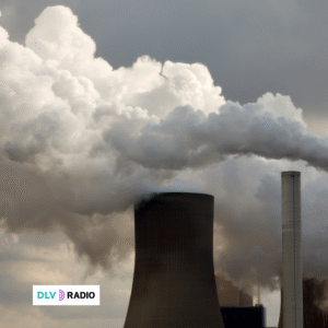 37 organizaciones exigen al gobierno y a los bancos dejar de financiar los combustibles fósiles, la deforestación y el militarismo