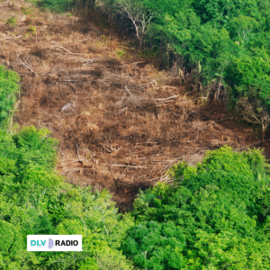 Un nuevo informe vincula al cuero que utilizan las grandes marcas de moda de lujo con la destrucción de la Amazonía brasileña